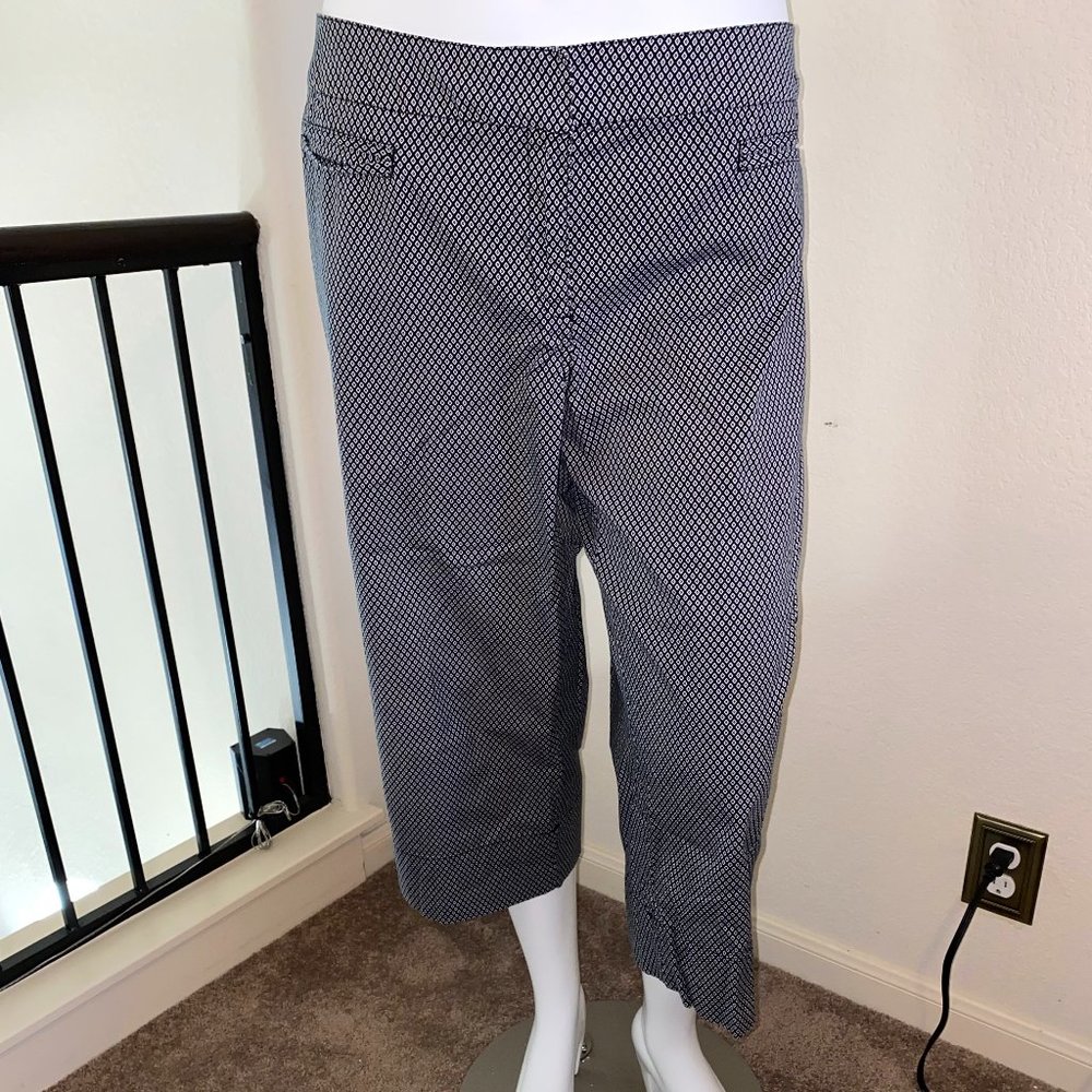Dress pants